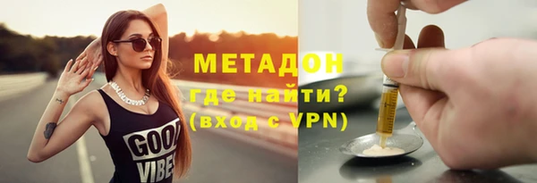 шишки Гусев