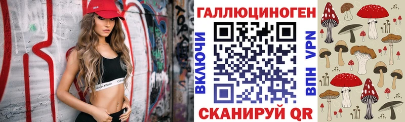 Купить где  Снежногорск  Галлюциногенные грибы GOLDEN TEACHER 