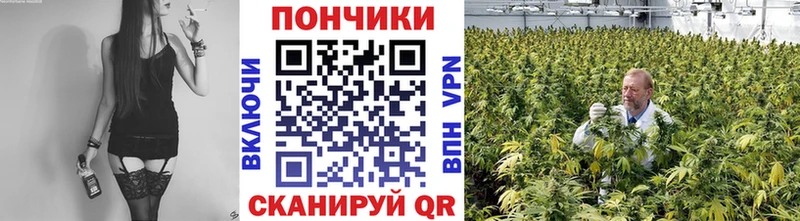Бошки Шишки индика Снежногорск